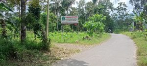 IMG20230113125504