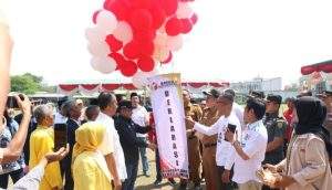 IMG_20231122_084912