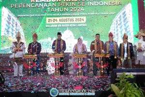 IMG-20240824-WA0053
