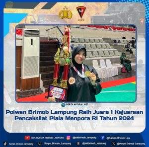 IMG-20241121-WA0282